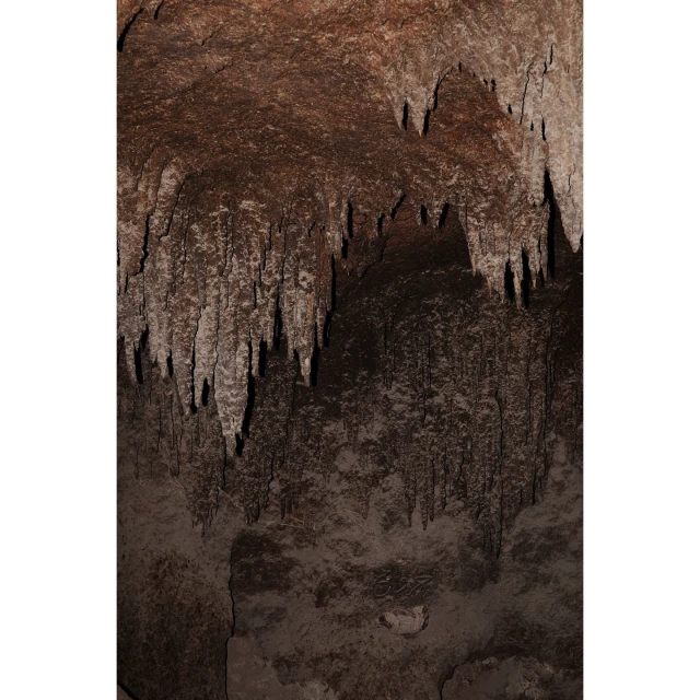 Stalactites hanging from the ceiling of a dark cave, illuminated by dim light creating a mysterious atmosphere underground.