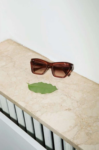 Studio shot of brown sunglasses and a green leaf sitting atop a marbled surface, set against a white wall in soft light.