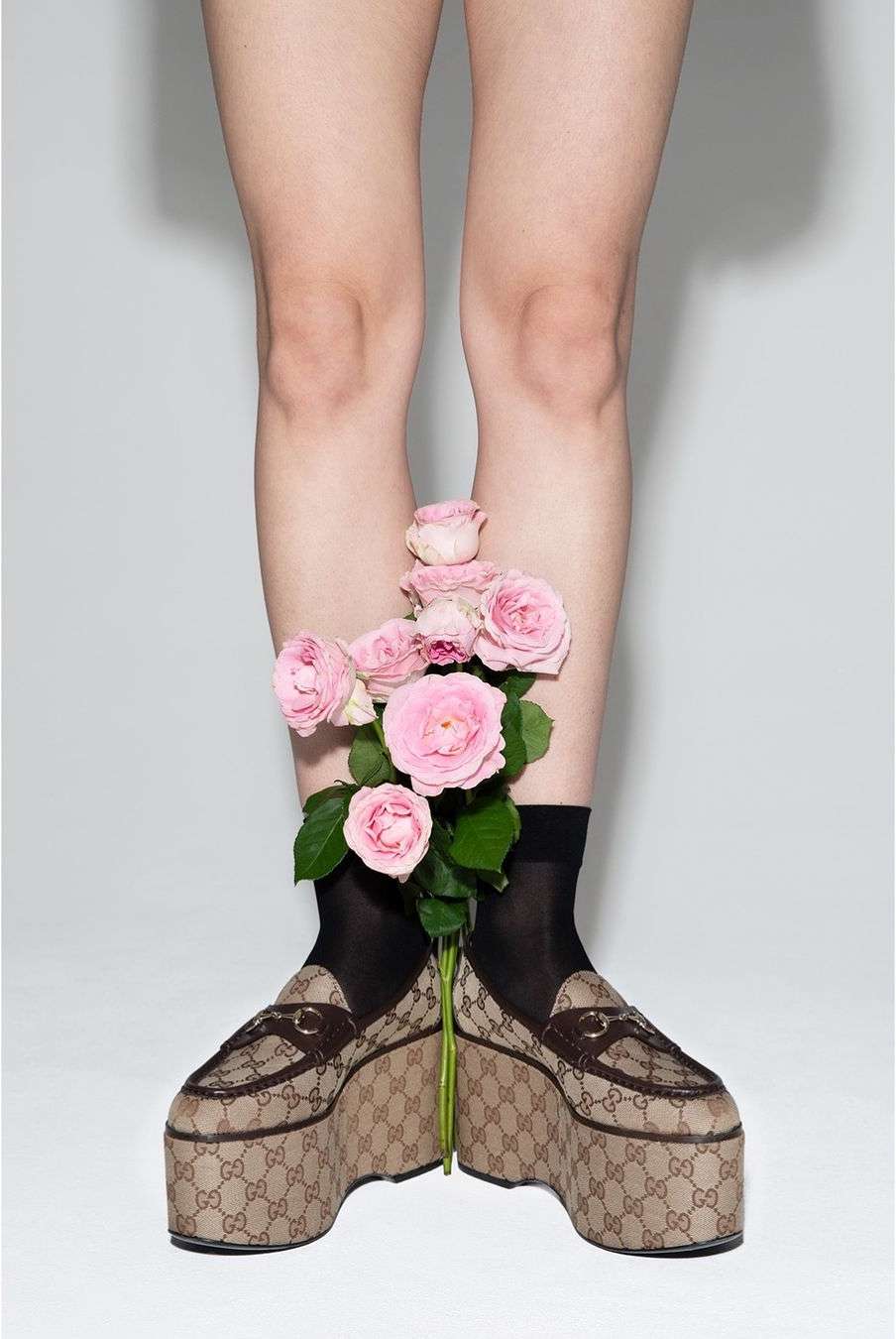 Woman's legs with Gucci platform loafers, black socks, and pink roses on a white background. Fashion still life shot for editorial.