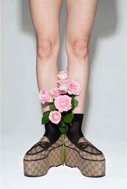 Woman's legs with Gucci platform loafers, black socks, and pink roses on a white background. Fashion still life shot for editorial.