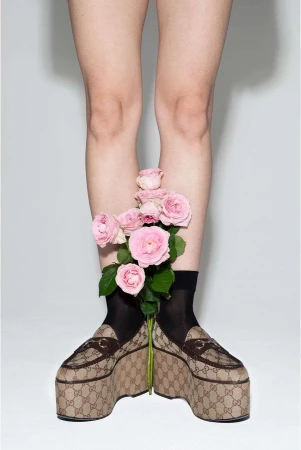 Woman's legs with Gucci platform loafers, black socks, and pink roses on a white background. Fashion still life shot for editorial.