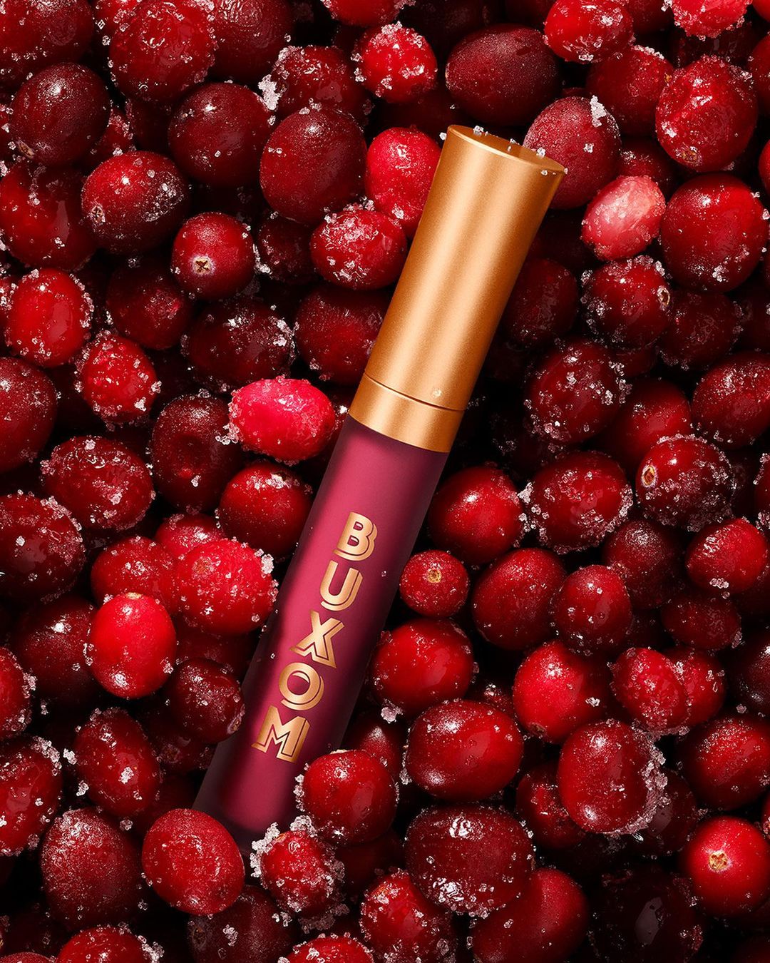 Close-up of Buxom lip gloss in a dark red tube with a gold lid, surrounded by sugared cranberries with soft, natural lighting.