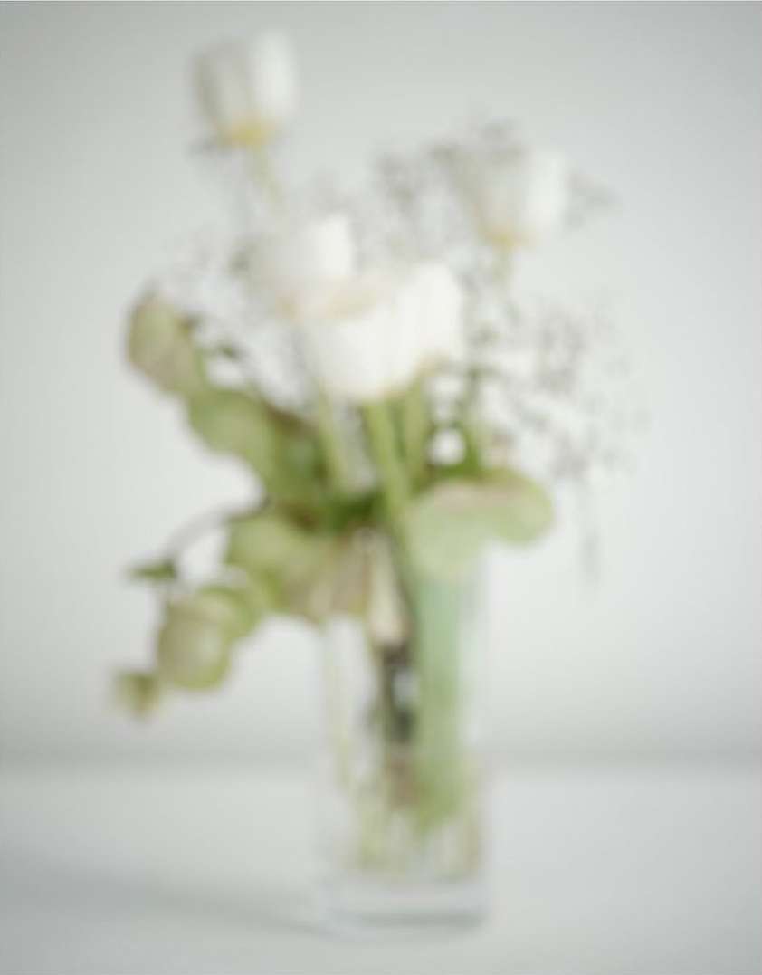 Out-of-focus view of a clear glass vase containing white tulip flowers, with a blurred, soft white background. Soft, romantic floral aesthetic.