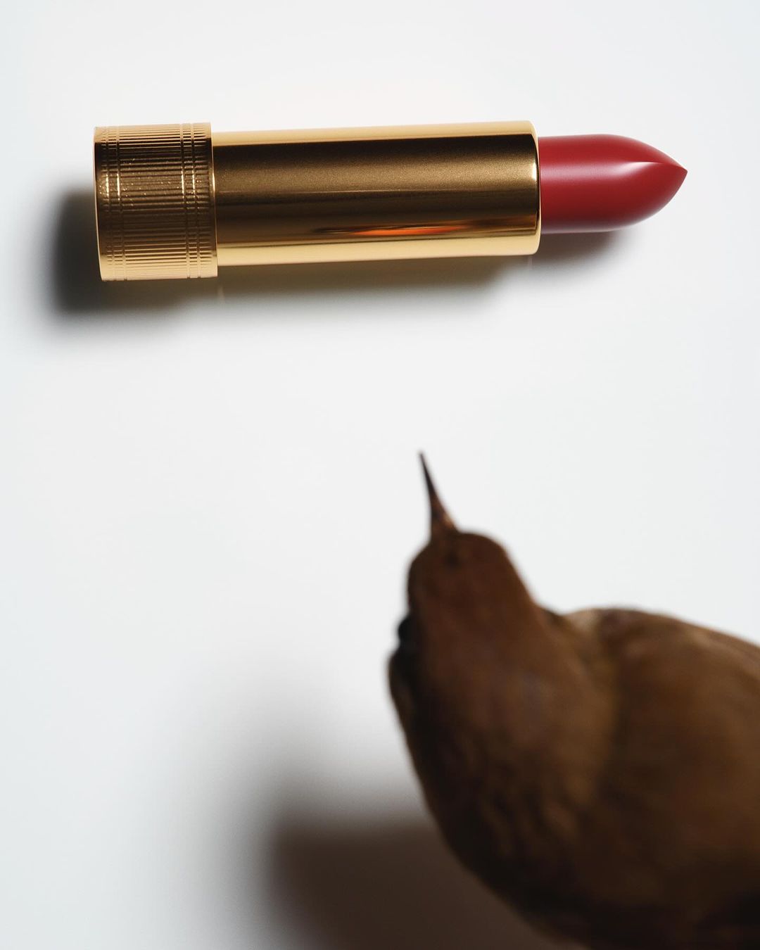 Still life shot of gold lipstick and bird figurine on a white surface, capturing beauty and nature elements in a minimalist composition.