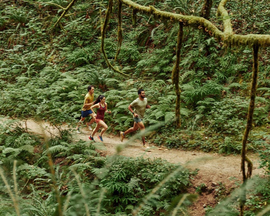 Three people trail running on a winding dirt path through a lush green forest with fern ground cover and moss-covered trees overhead.