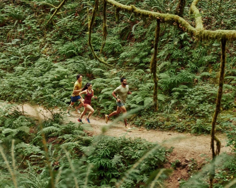 Three people trail running on a winding dirt path through a lush green forest with fern ground cover and moss-covered trees overhead.