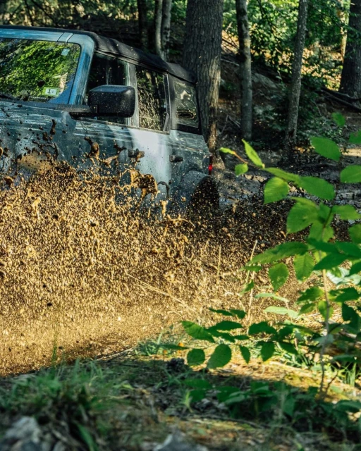 Off-road vehicle navigates a muddy trail surrounded by a forest, with green foliage in the foreground and trees in the background.