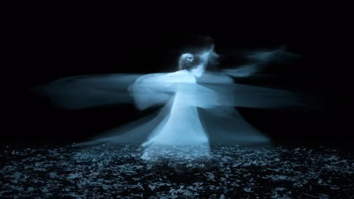 Woman in blurred, ethereal motion, wearing a long dress, surrounded by dark leaves and a black background, creating a ghostly effect.