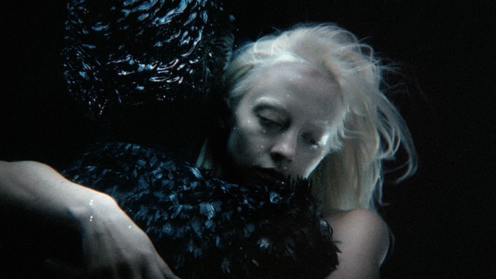 Artistic photo of a woman with fair hair embracing a large black feathered object in a dark setting with a shallow depth of field.