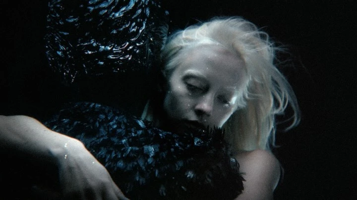 Artistic photo of a woman with fair hair embracing a large black feathered object in a dark setting with a shallow depth of field.