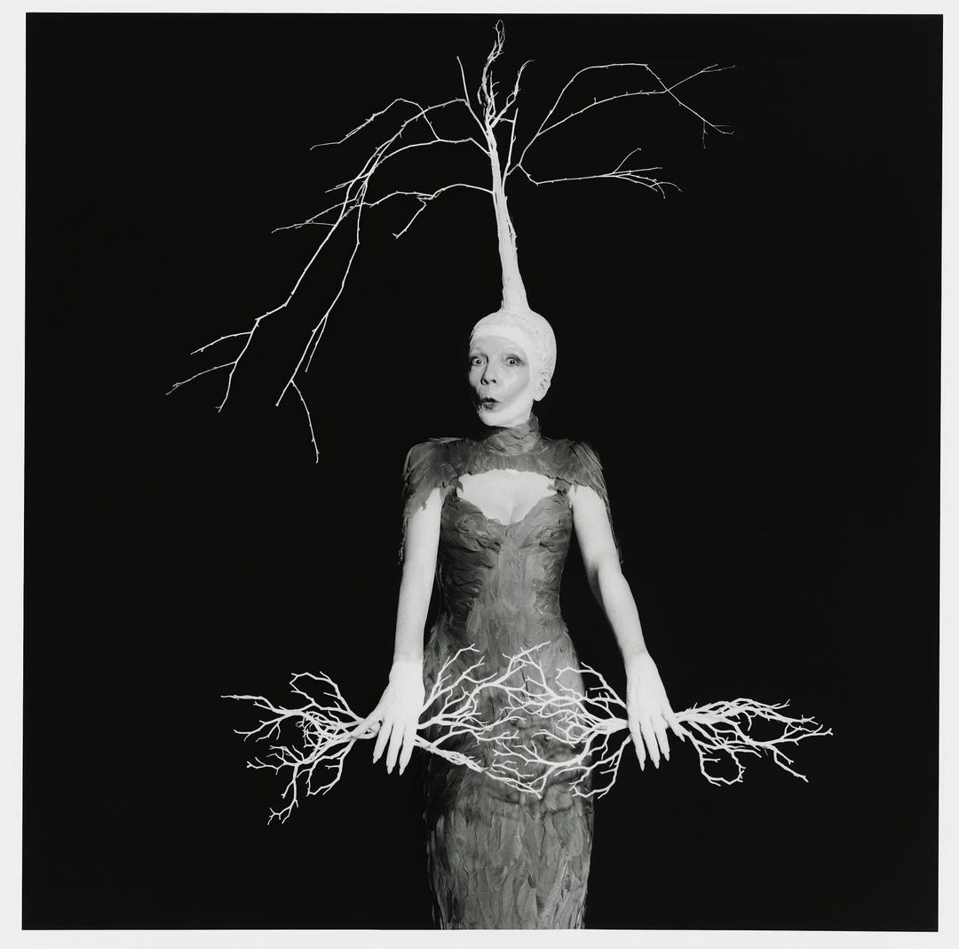 A surreal black and white portrait features a person in an elaborate costume with branch-like structures extending from their head and hands.