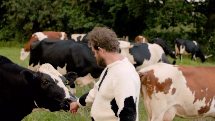 Man wearing cow-print sweater interacts with black and white cows in a grassy field, surrounded by trees on a sunny day.