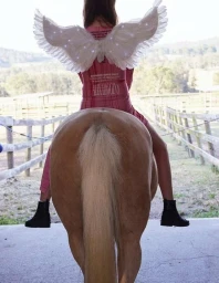 Rear-view portrait by Joseph Molines of a person wearing angel wings and pink patterned top riding a horse from a stable.