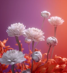 Close-up of pale sculptural flowers with textured petals against a gradient purple and orange background.