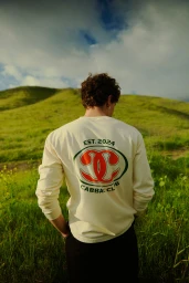 Man with curly brown hair wearing a cream long-sleeve graphic shirt standing in a vibrant green hilly landscape under a cloudy sky.
