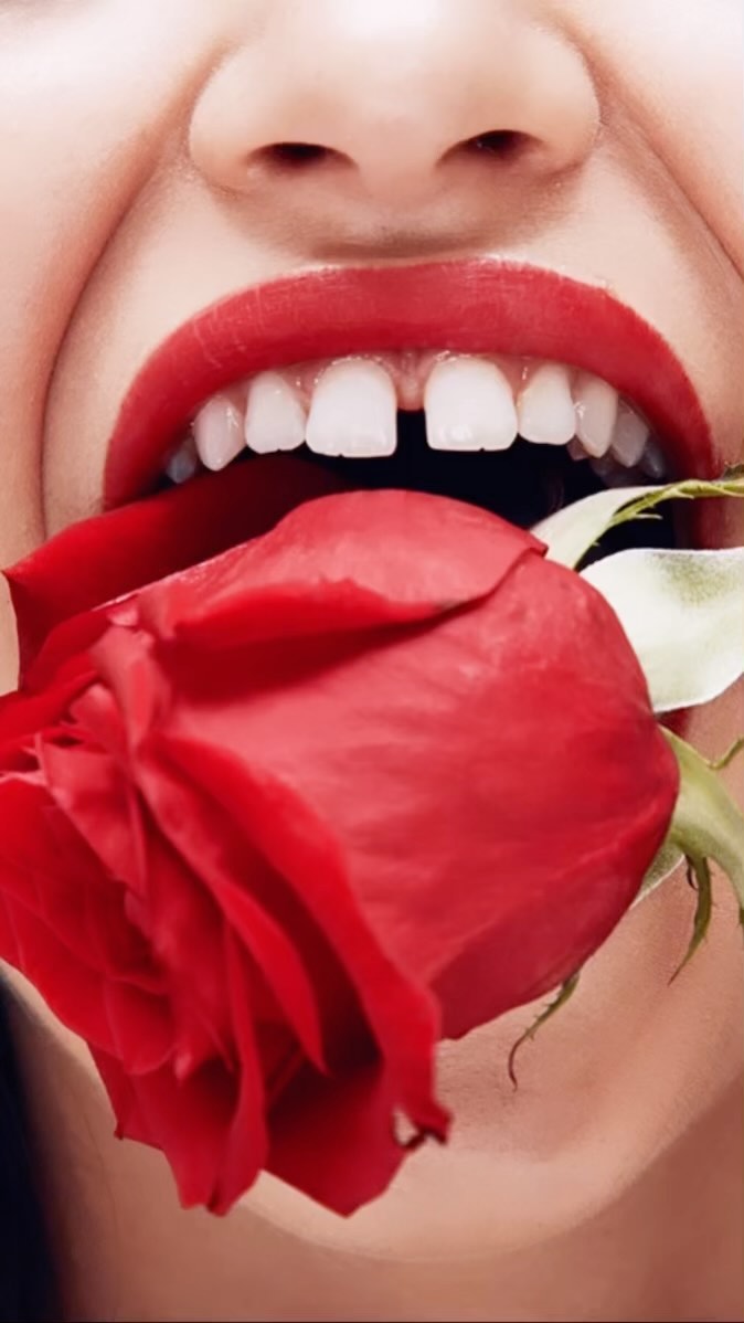 Close-up of a person with red lips and a visible gap in their front teeth holding a red rose in their mouth