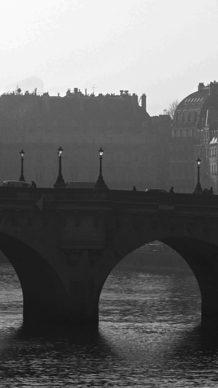 Monochromatic shot of a bridge with streetlights over water, city buildings silhouetted in the background, creating a cityscape.