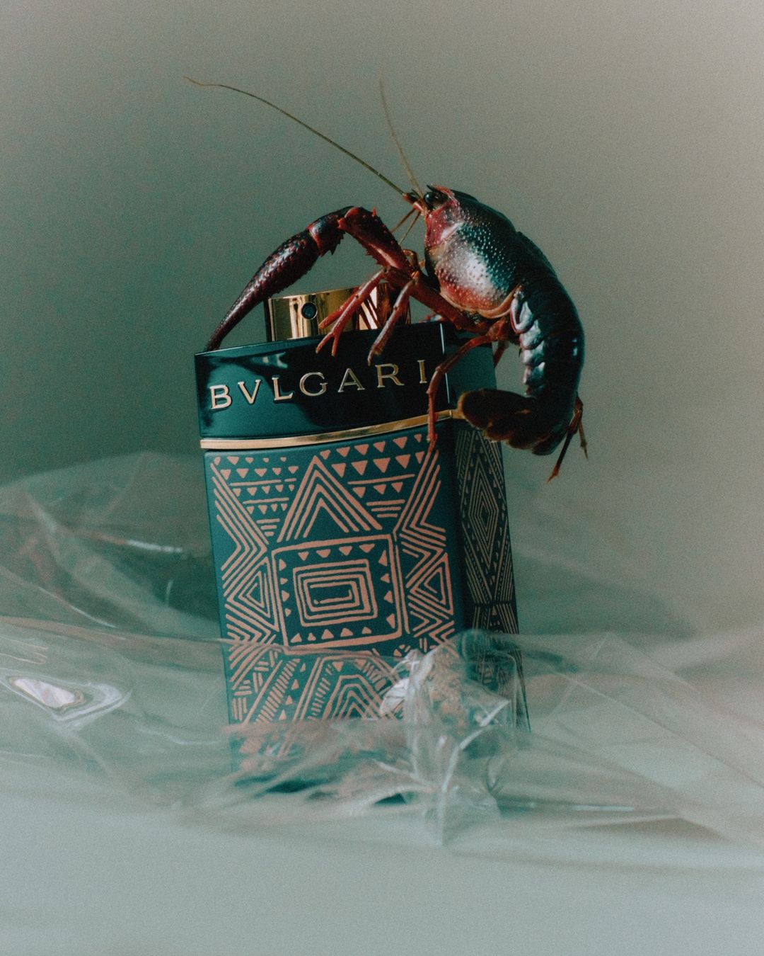 A bottle of Bvlgari fragrance is prominently featured with a striking crawfish perched atop it, all set against a studio backdrop.