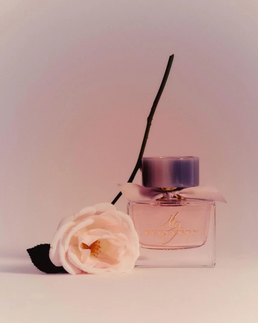 Elegant beauty shot: Pink Burberry fragrance bottle with matching rose and dark stem against a soft, light pink background.