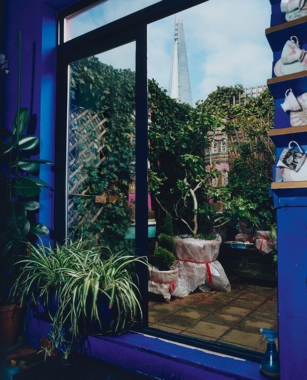 Indoor view through a window of an outdoor garden with potted plants and a glimpse of a tall building in the distance.