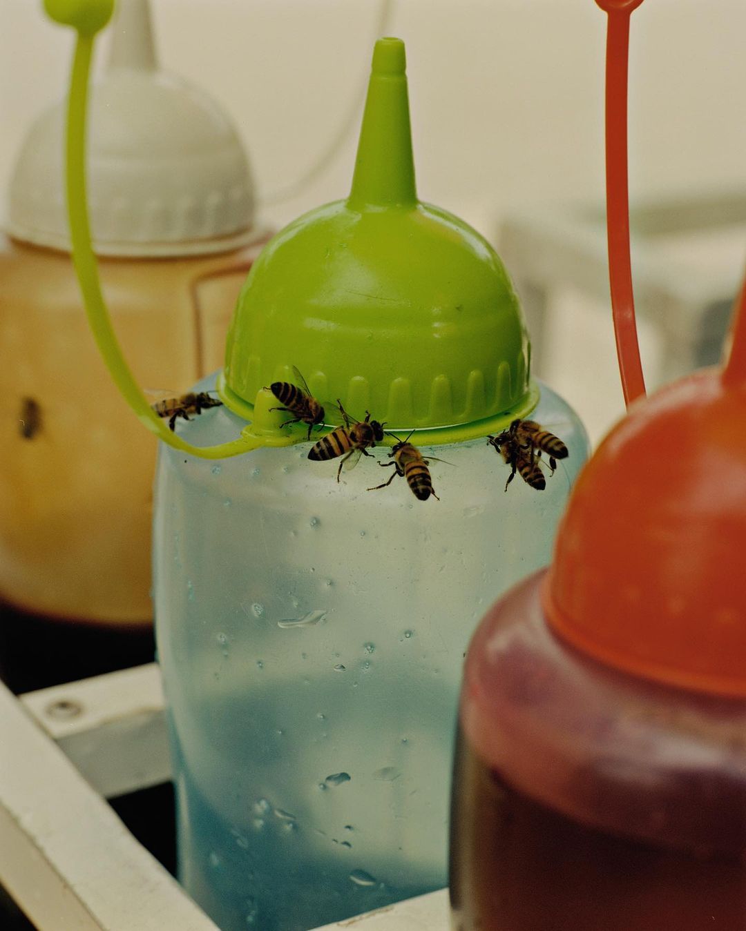 Bees swarm around an assortment of colorful plastic squeeze bottles indoors, under bright lighting.