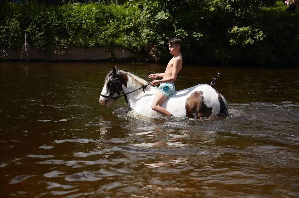 A young shirtless person riding a white and brown horse through a body of water surrounded by lush greenery during the daytime.