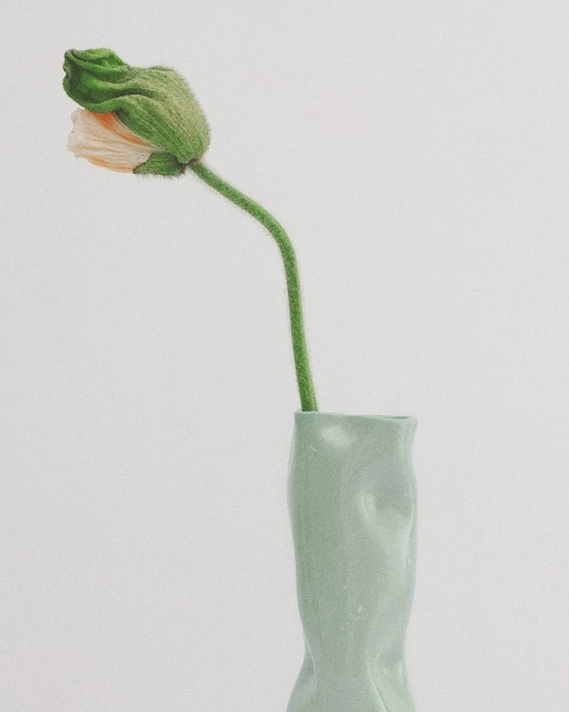 Close-up of a single light peach-colored poppy flower bud in a light green, ceramic vase against a clean, white background.
