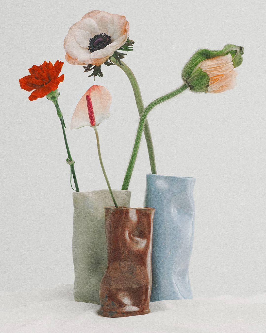 Still life shot of colorful flowers in a collection of vases on a white surface, featuring a red carnation and anemone.