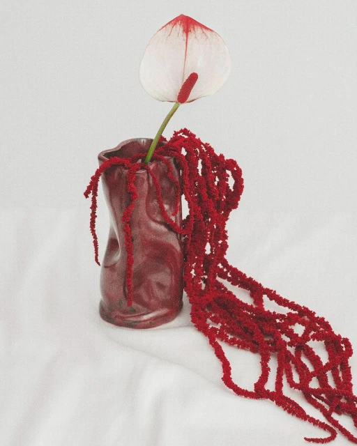 Still life of a single white anthurium flower with a red spadix in a red ceramic vase next to a red chenille plant on a white tablecloth.