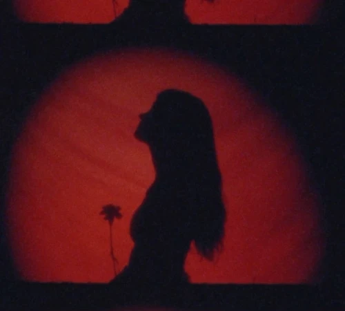 Silhouette of a woman holding a flower against a vibrant red backdrop in a vertical film frame by Julia Grandperret.