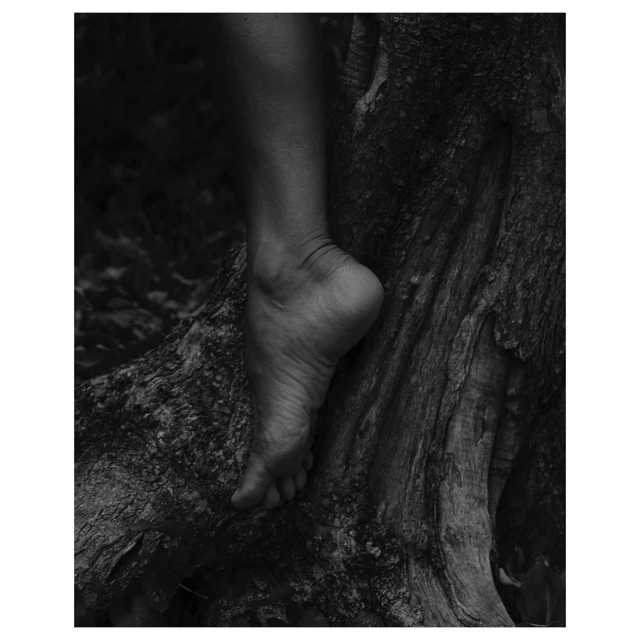 Close-up black and white photo of a person's foot resting on a tree root, showcasing skin texture and contrast in an outdoor setting.