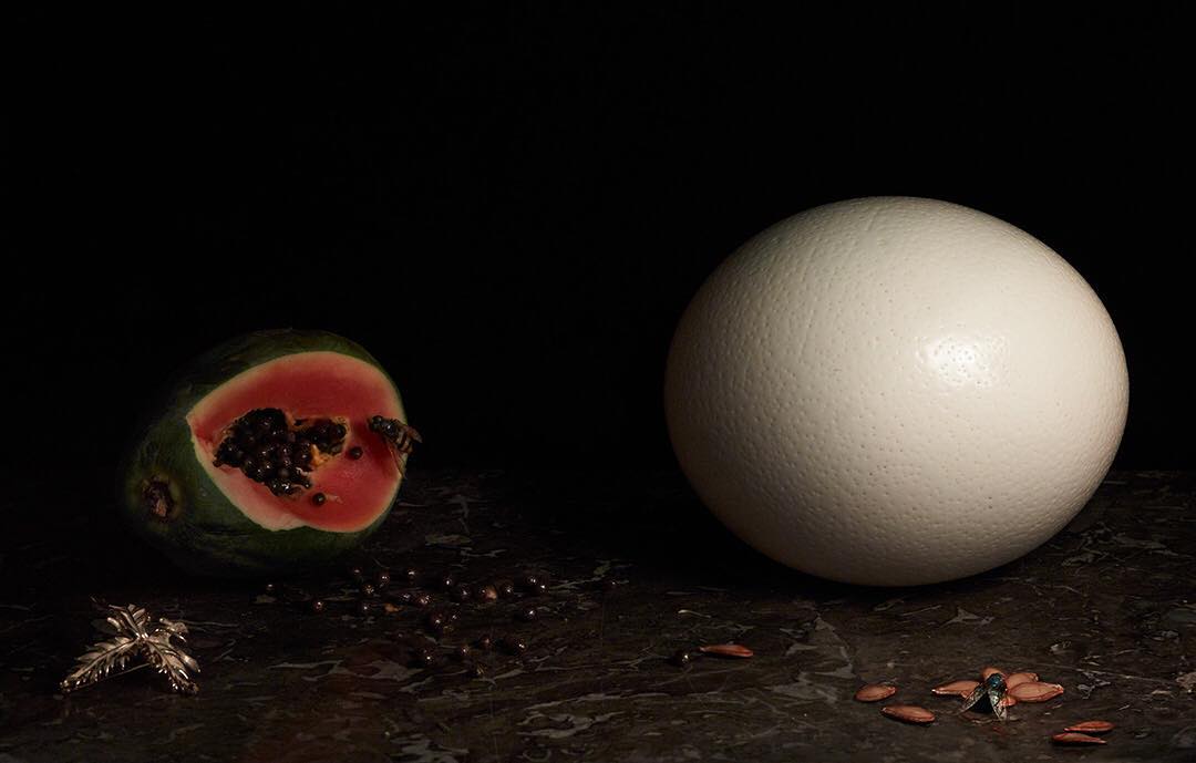 Still life featuring a halved watermelon with seeds and bees, juxtaposed with a large white ostrich egg on a marble surface against a dark backdrop.