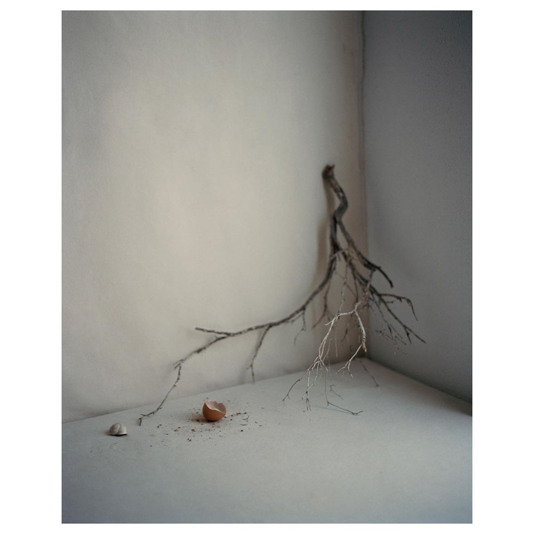 Still life photo of a broken eggshell with scattered remnants and a dried branch against a neutral wall. The composition is simple and muted.