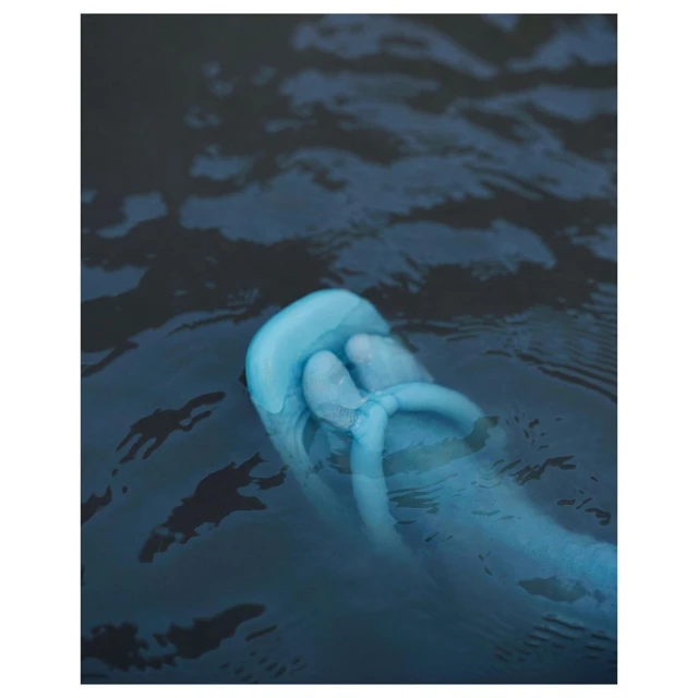 A blue foot and toes float in dark blue water, creating ripples, suggesting an underwater perspective with cool tones and surreal atmosphere.