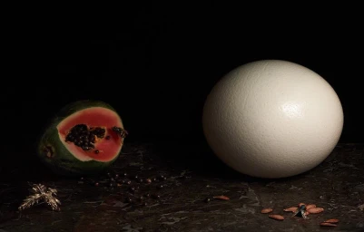 A still life composition with a large white egg, sliced papaya, and small insects on a dark textured surface.