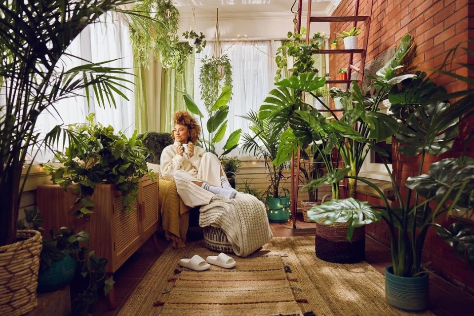 A woman relaxes in a chair with a mug amid a plant-filled sunroom. Natural light streams through sheer curtains, creating a cozy indoor garden.