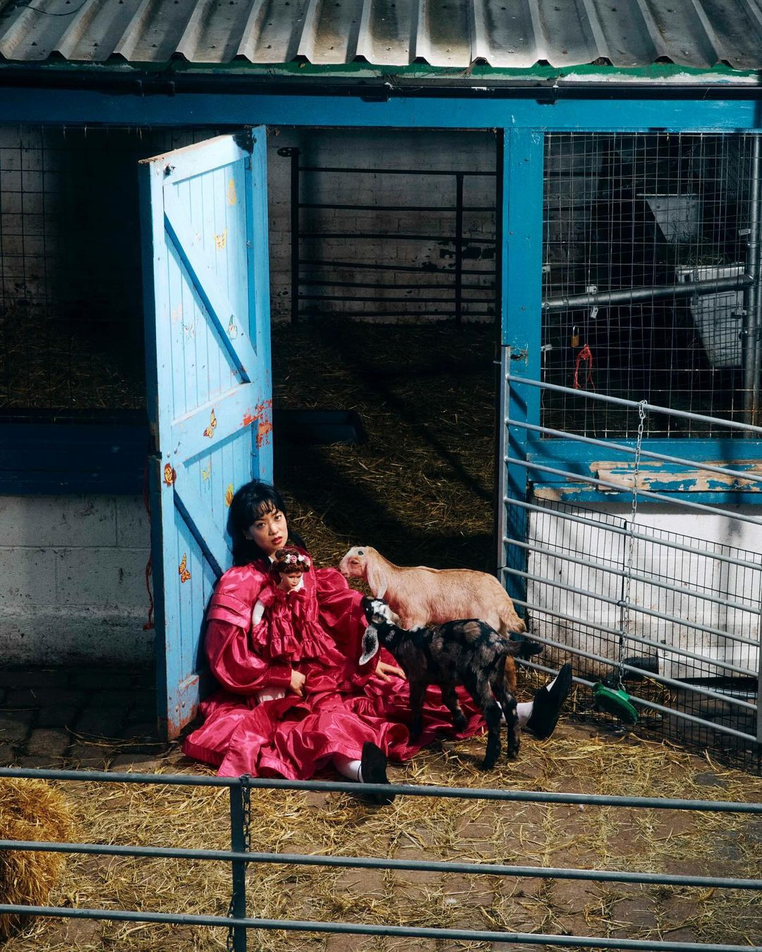 Young woman in a red dress sits alongside two goats in a barn with hay and blue doors, creating a whimsical and rural fashion portrait.