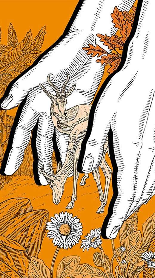 Artistic illustration of two antelopes framed by large hands amid wildflowers and autumn leaves, in shades of orange and white.