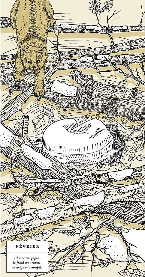 Illustration depicting a bear walking over a log jam in the forest above an object; black lines, light-brown fill, text in corner.