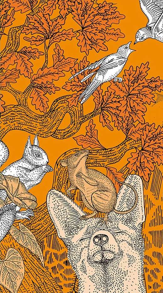 Illustration of a fox, squirrel, mouse, and bird in a forest setting with autumn leaves on an orange background.