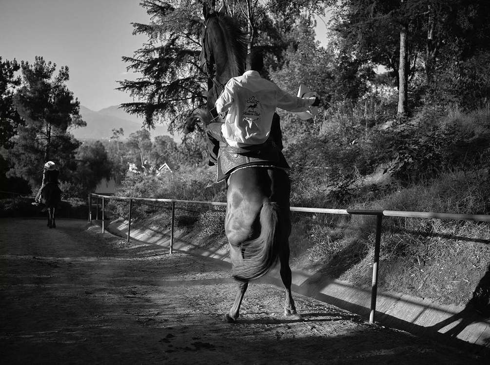 A horse rears up on its hind legs with a rider on its back, wearing a white jacket, in a black and white outdoor scene.