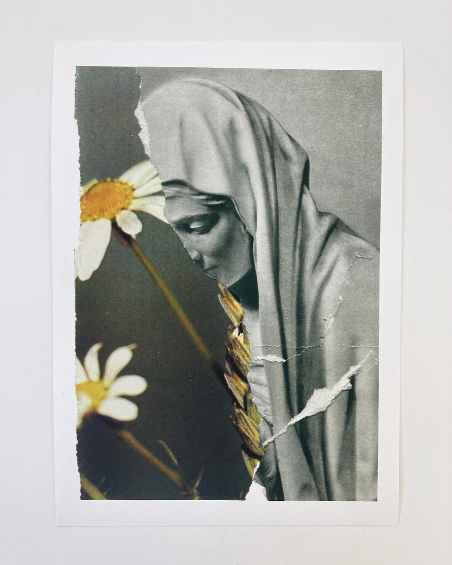 Torn photograph featuring a monochrome bust sculpture next to a daisy and wheat, creating a collage effect with visible paper edges.