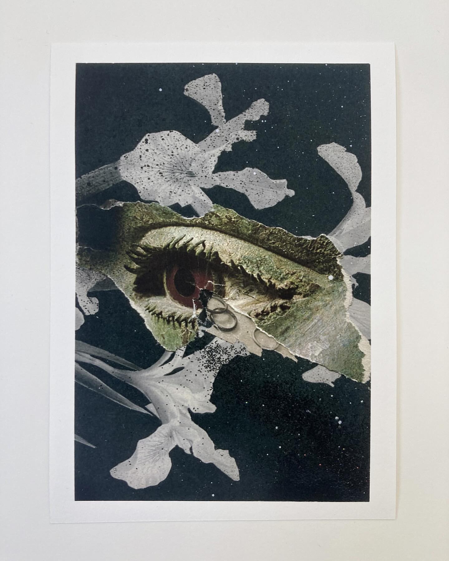 Art collage featuring a human eye integrated with plant textures and floral elements on a dark, speckled background within a white frame.