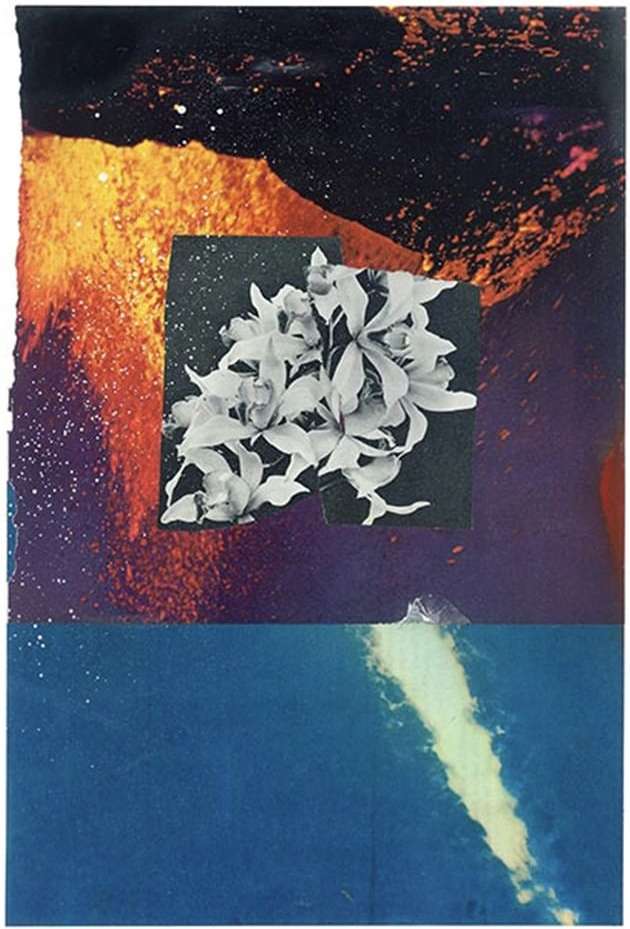 Abstract collage featuring a square image of white orchids on a dark background, set against splattered colors of blue, orange, and black.