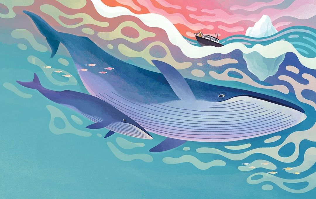 Illustration of two blue whales swimming in the ocean with a small fishing boat and iceberg in the distance under a pink and orange sky.