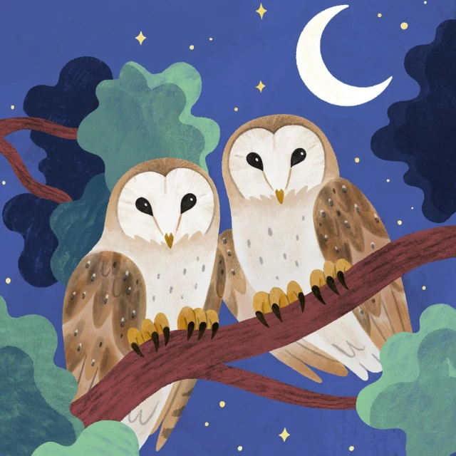 Illustration of two barn owls perched on a branch at night, with a crescent moon and stars in the dark blue sky.