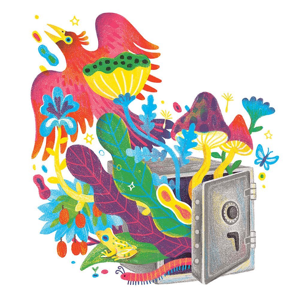 Whimsical illustration features a phoenix, mushrooms, frog, and centipede emerging from an open safe on a white background.