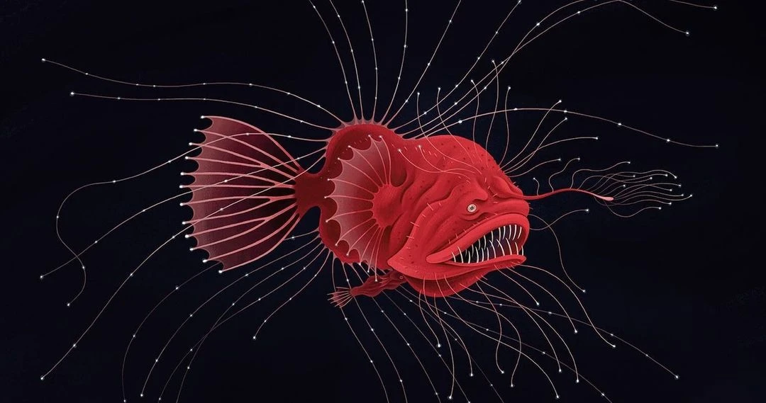 Illustration of a vibrant red fangtooth fish with glowing lures against a dark background, showcasing a fantastical deep-sea creature design.