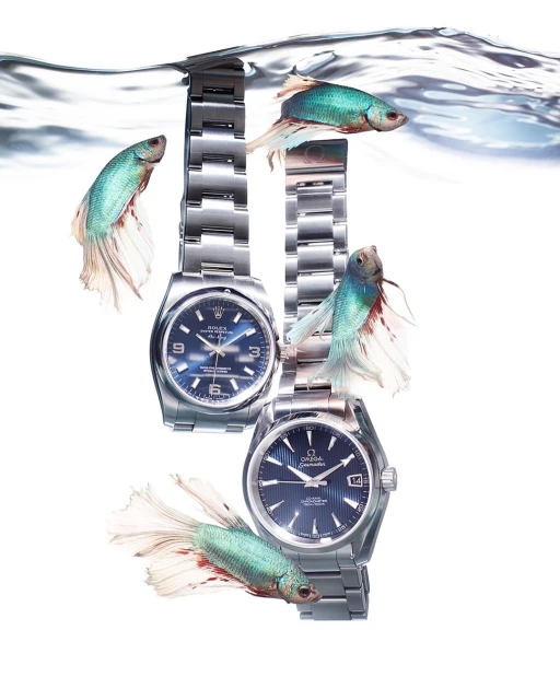 Two steel wristwatches are creatively arranged with four Siamese fighting fish underwater against a white background in a product shot.