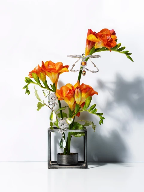 Still life studio shot of orange freesia flowers arranged in a metal container adorned with diamond jewelry on a white background.